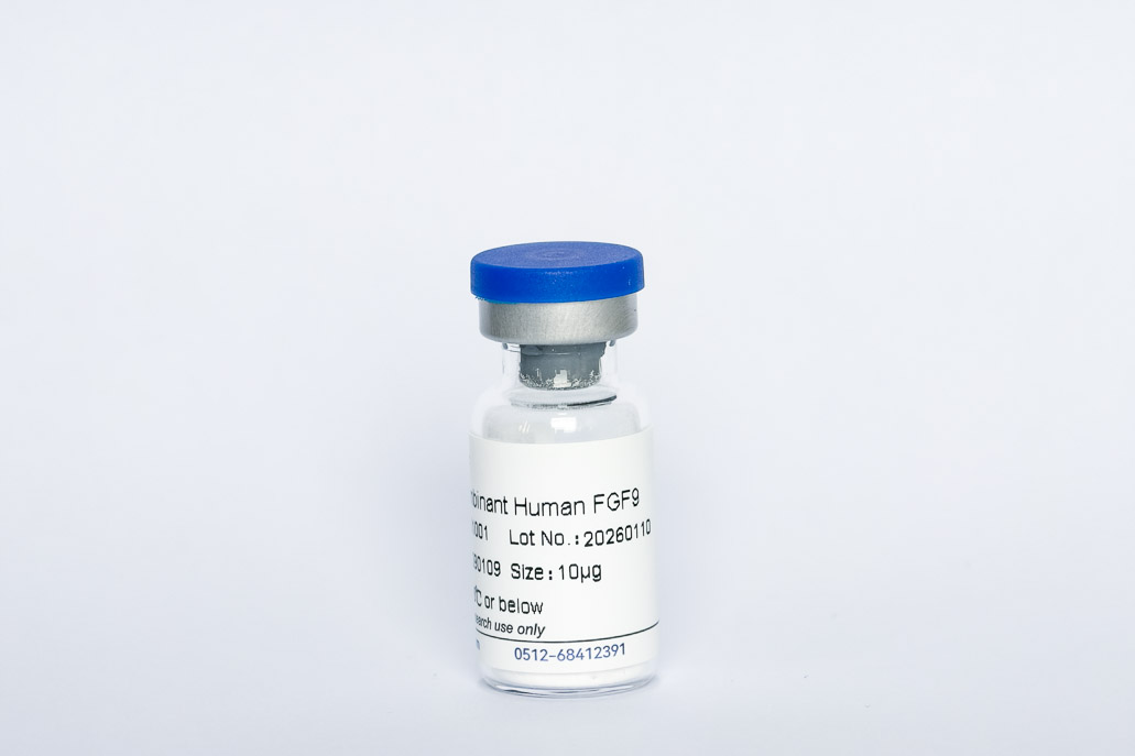 Recombinant Human FGF-9