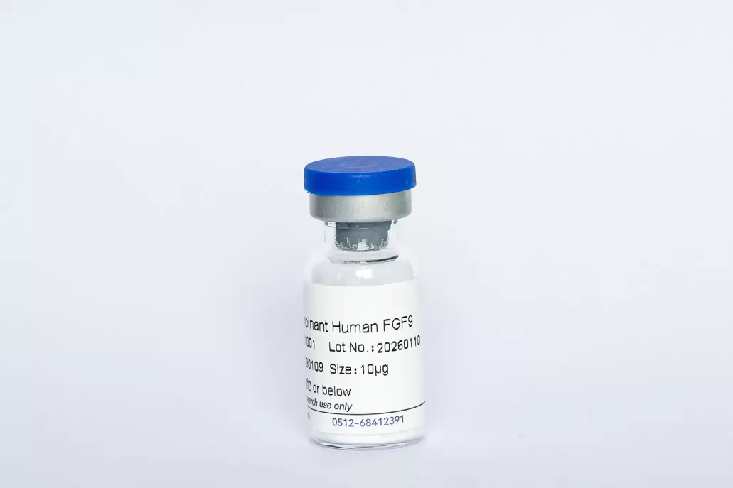 Recombinant Human FGF-9