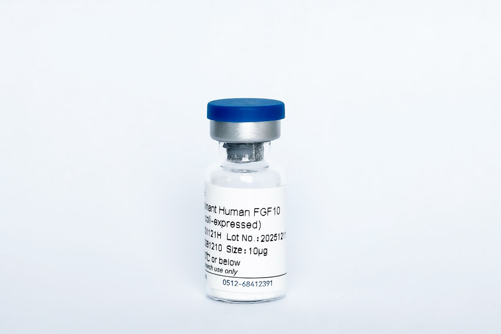Recombinant Human FGF-10