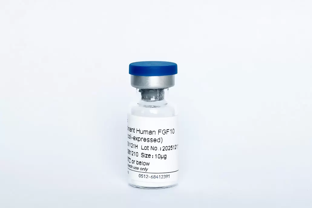 Recombinant Human FGF-10/KGF2