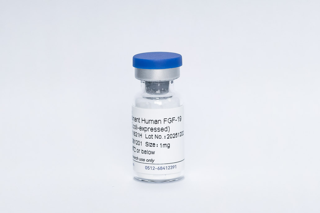 Recombinant Human FGF-19