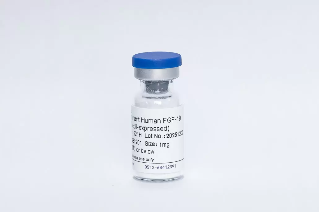 Recombinant Human FGF-19