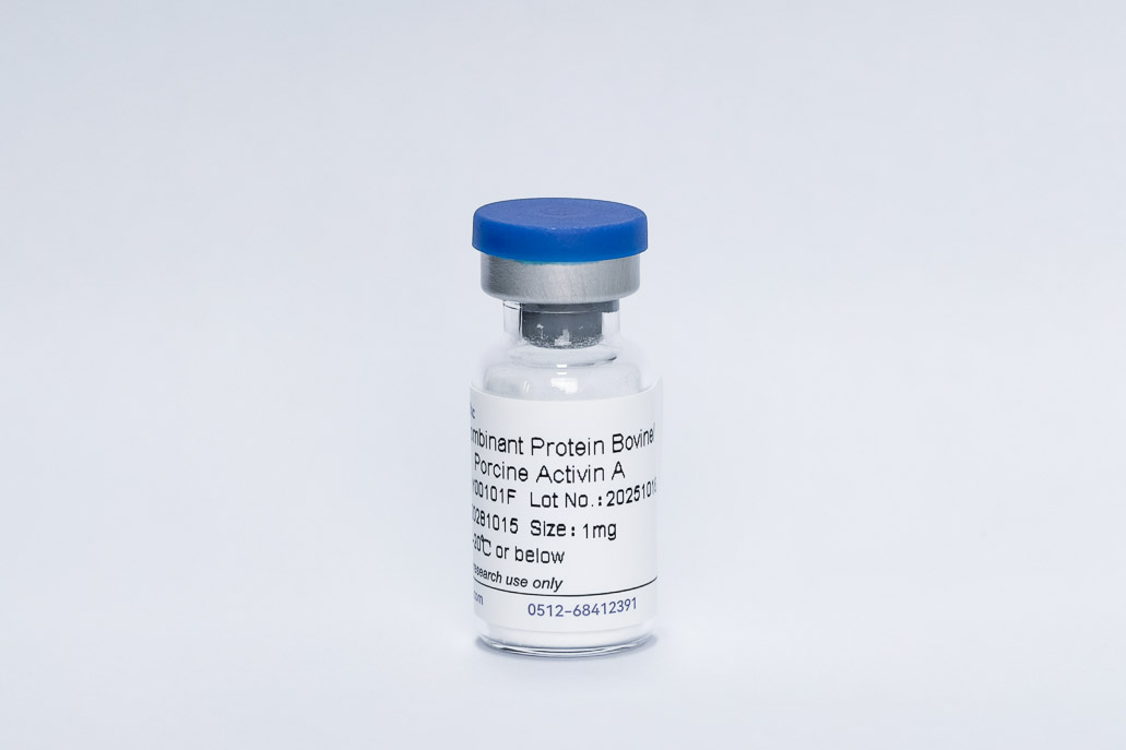 Recombinant Bovine Activin A