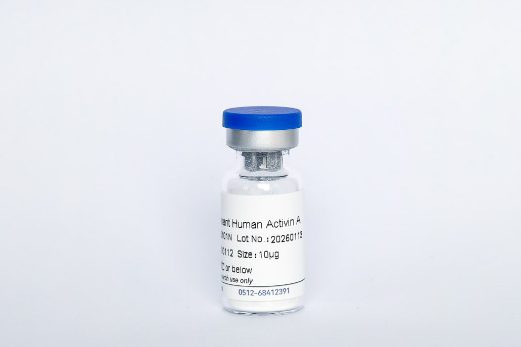 Recombinant Human Activin A