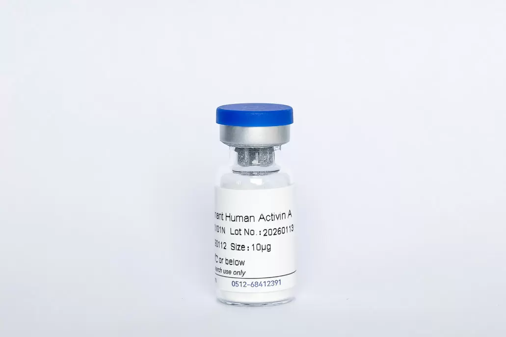 Recombinant Human Activin A