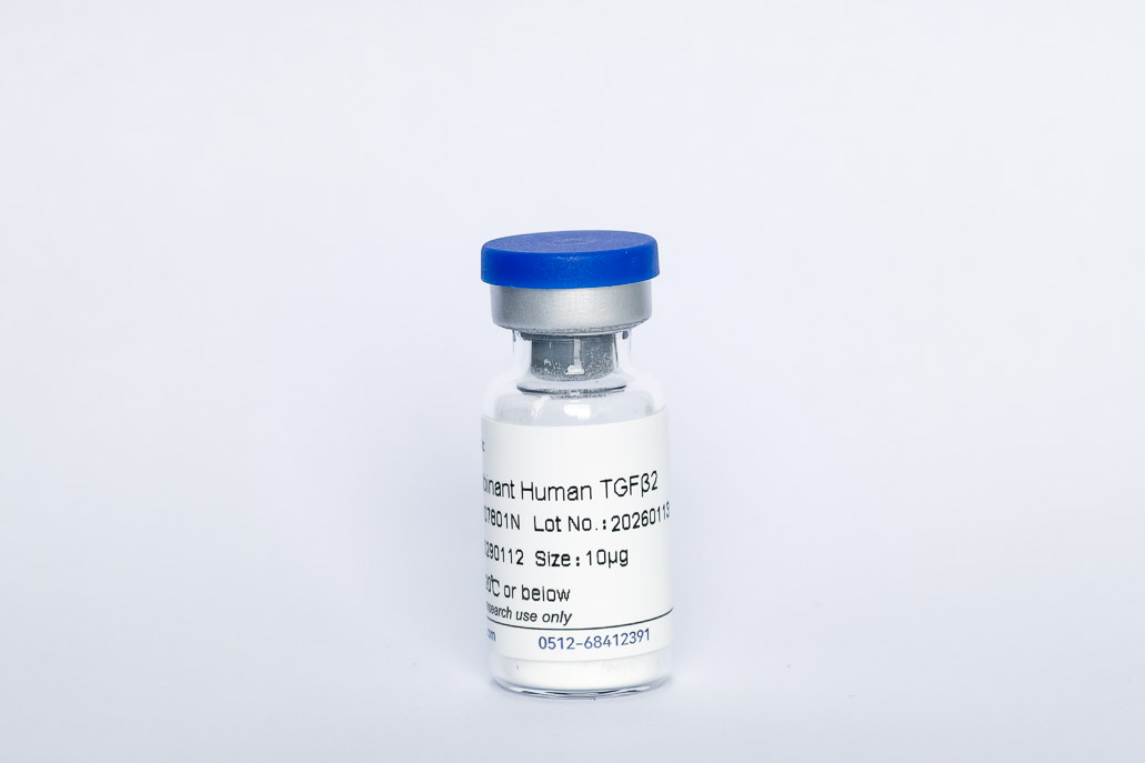 Recombinant Human TGF-&beta;2