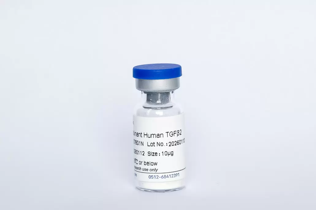 Recombinant Human TGF-β2