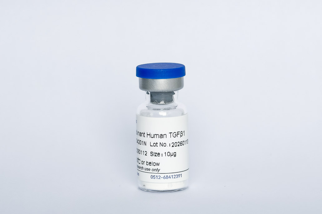 Recombinant Human TGF-&beta;1