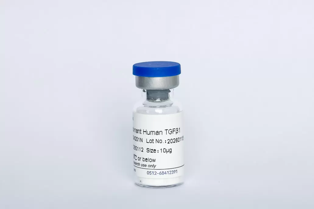 Recombinant Human TGF-β1