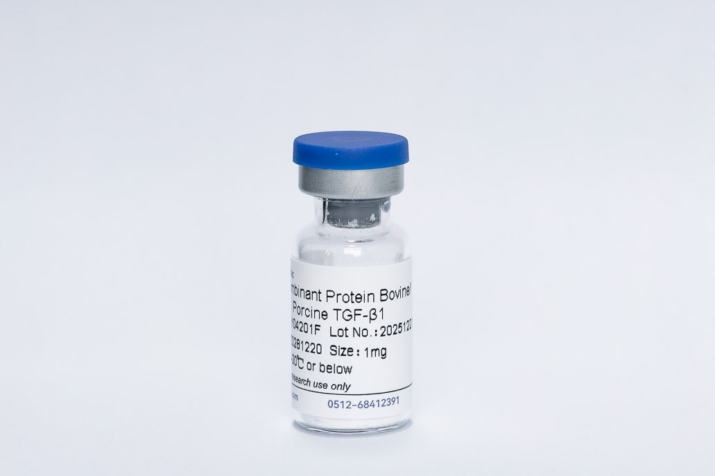 Recombinant Bovine TGF-&beta;1