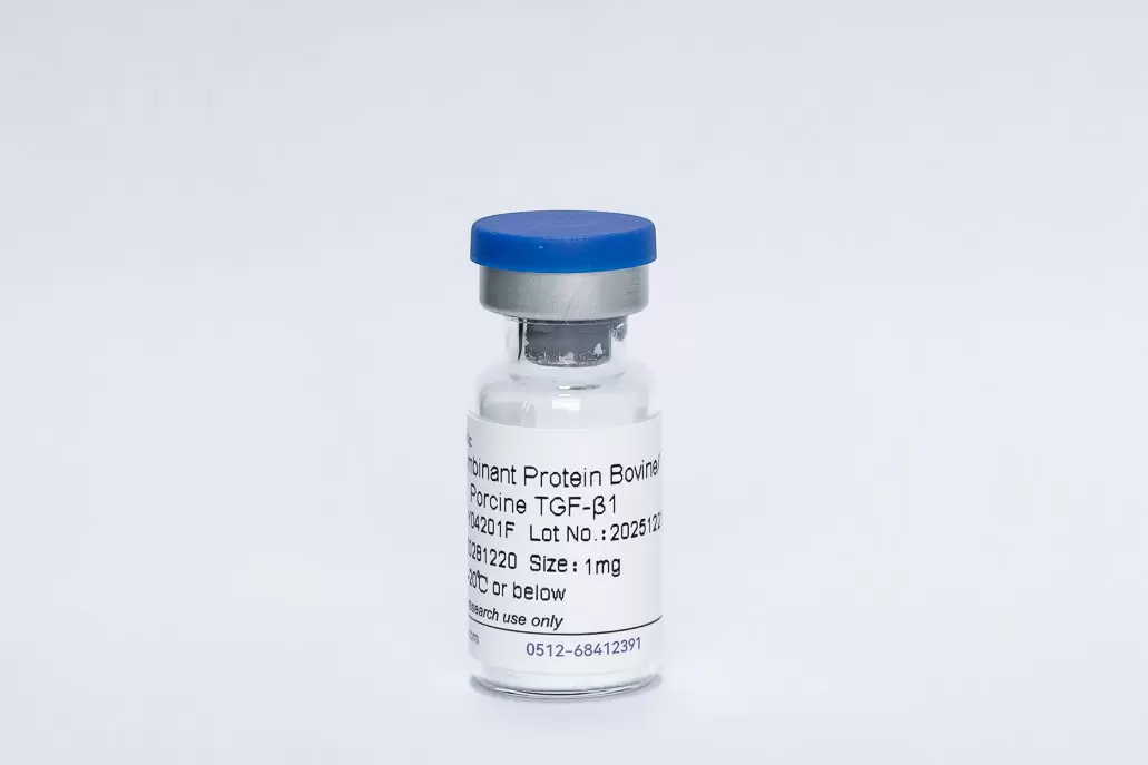 Recombinant Bovine/Porcine TGF-β1