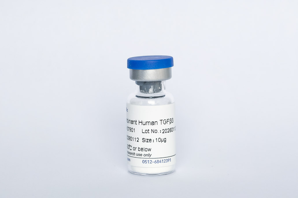 Recombinant Human TGF-&beta;3