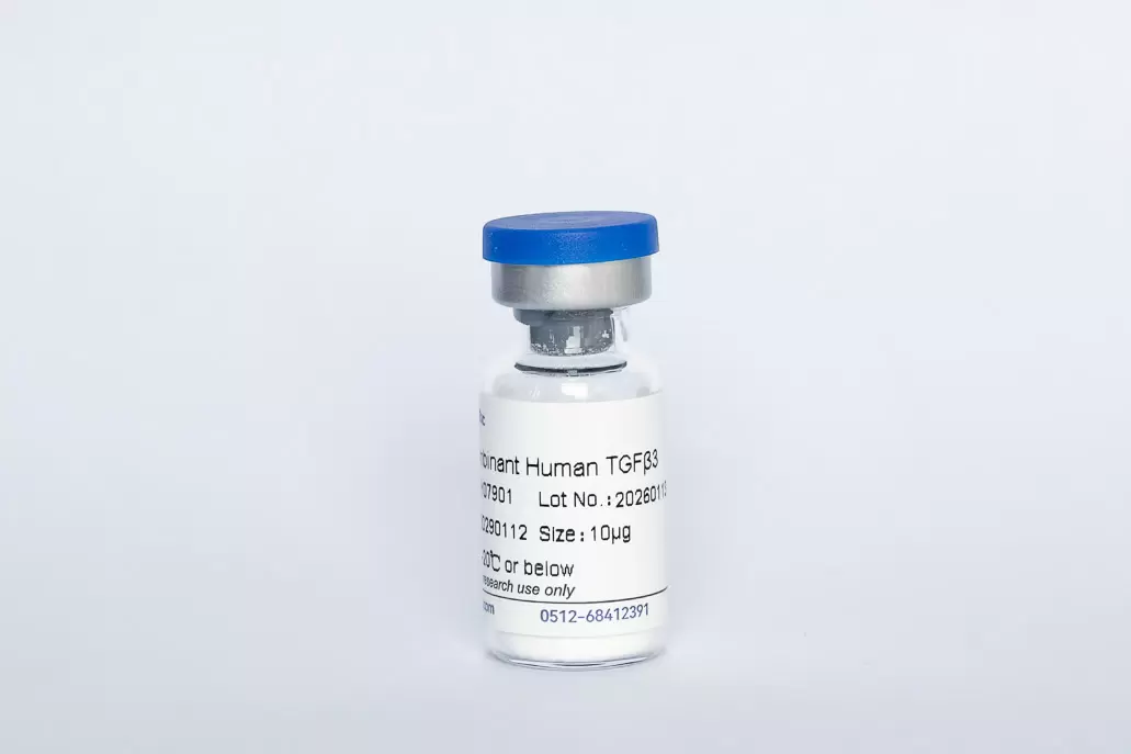 Recombinant Human TGF-β3