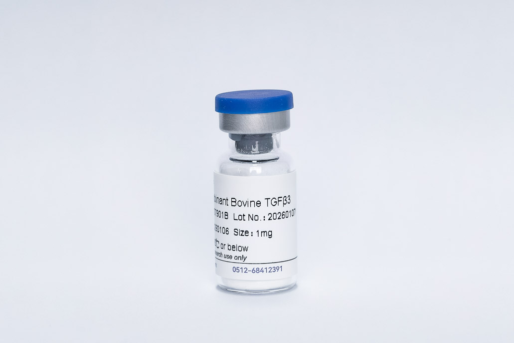 Recombinant Bovine TGF-&beta;3