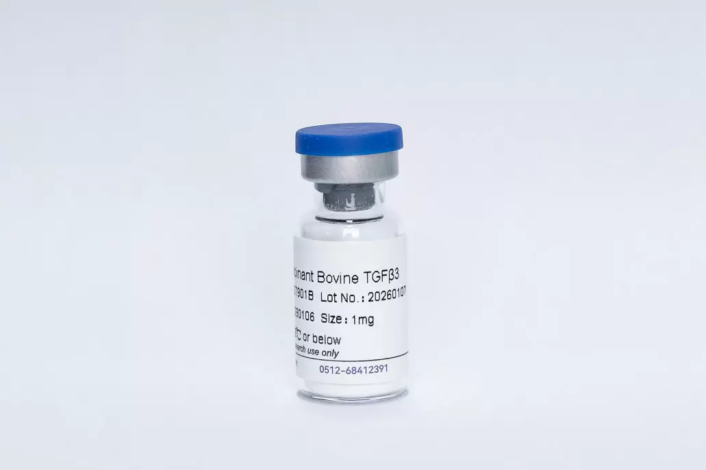 Recombinant Bovine TGF-β3