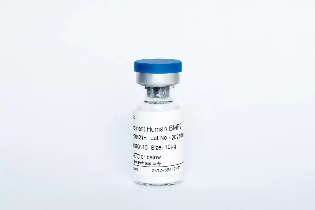 Recombinant Human BMP-2