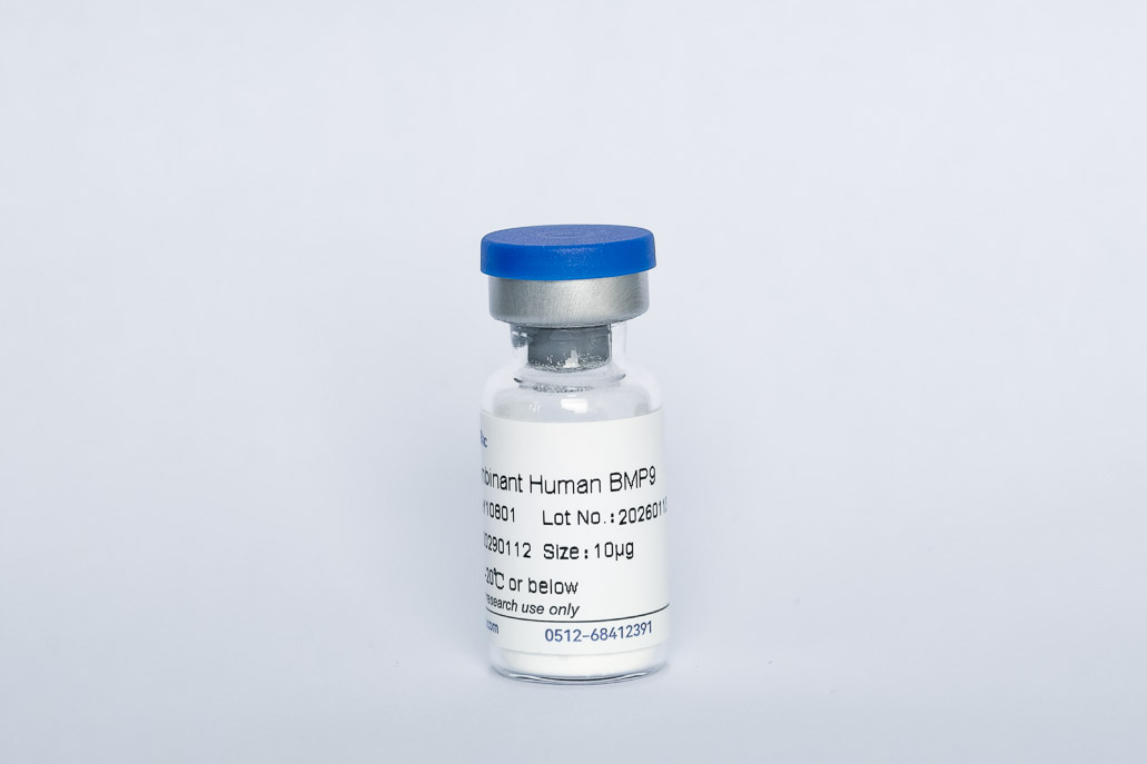 Recombinant Human BMP-9