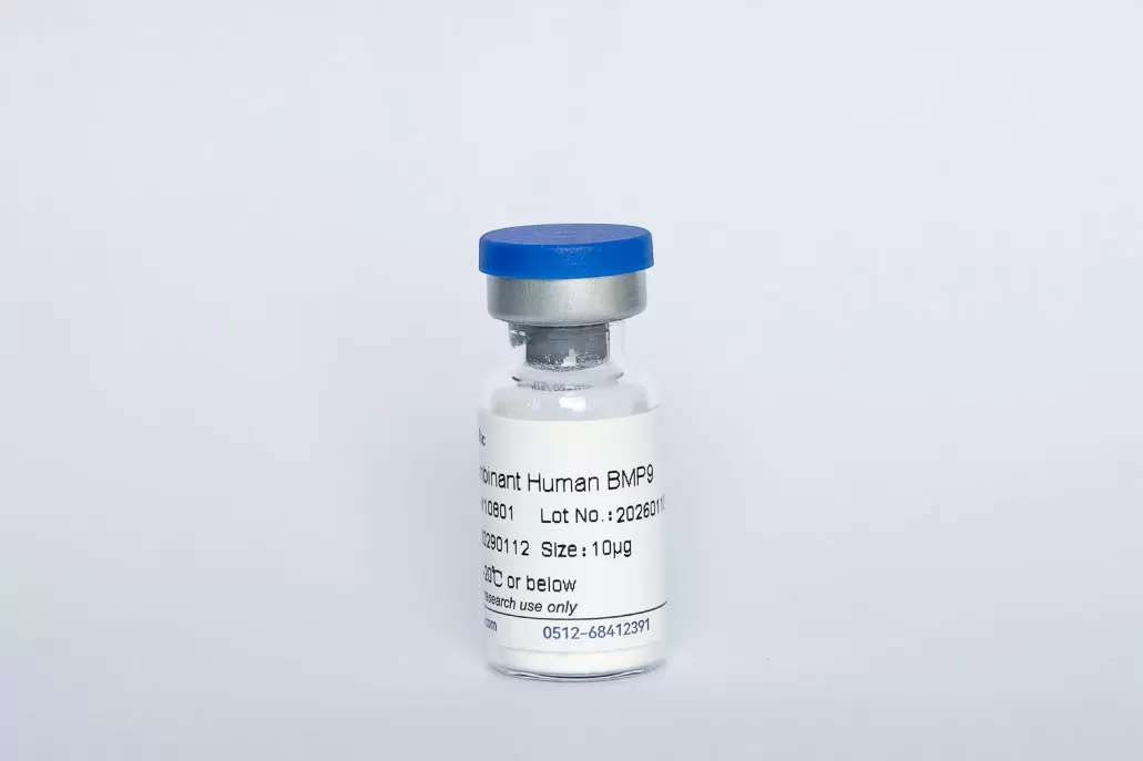 Recombinant Human BMP-9