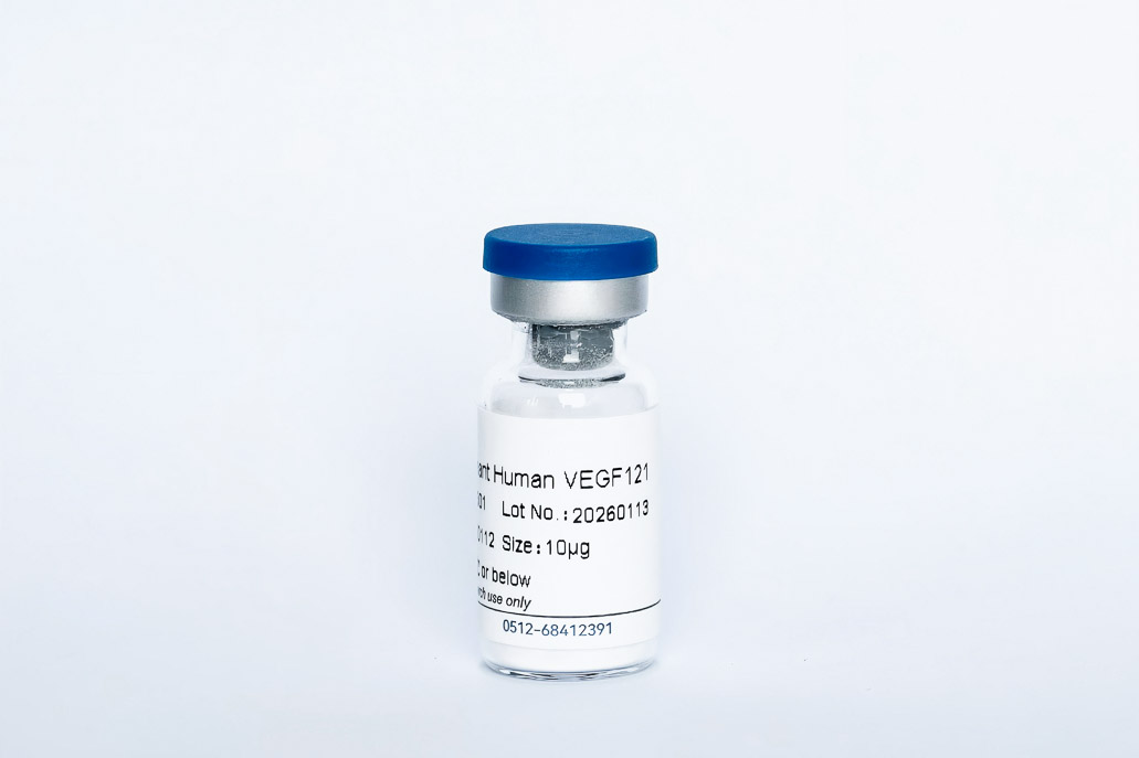 Recombinant Human VEGF121
