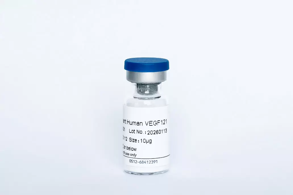 Recombinant Human VEGF121
