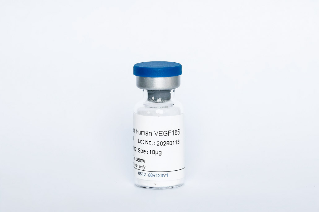Recombinant Human VEGF165