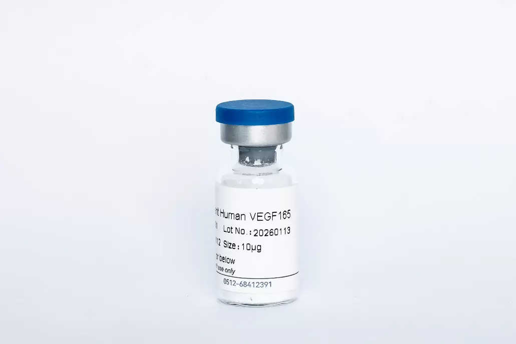 Recombinant Human VEGF165