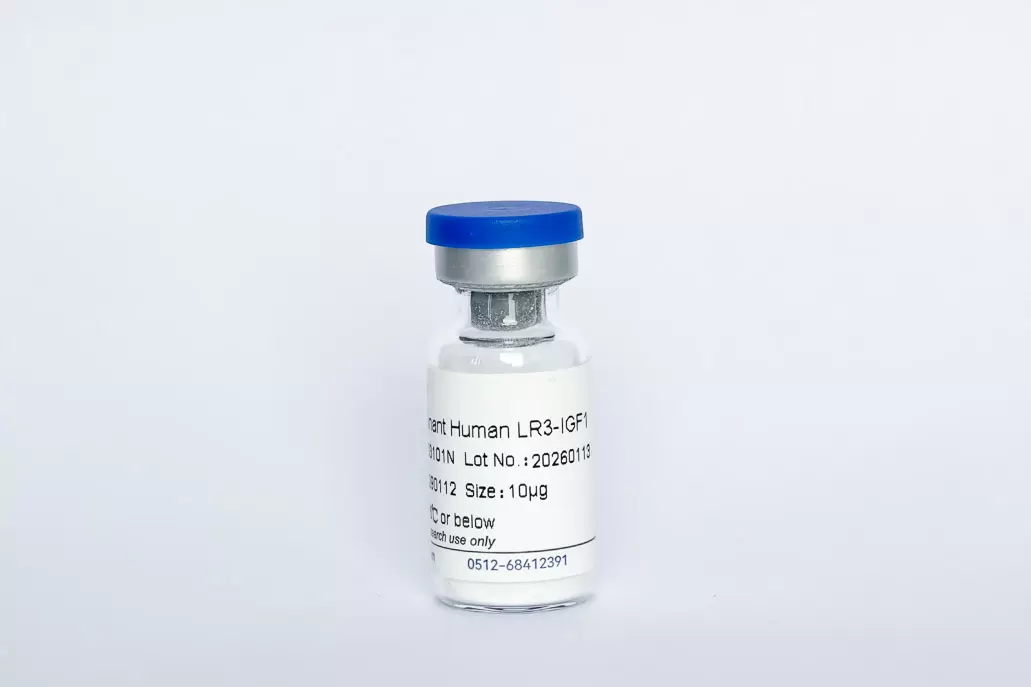 Recombinant Human LR3 IGF-1
