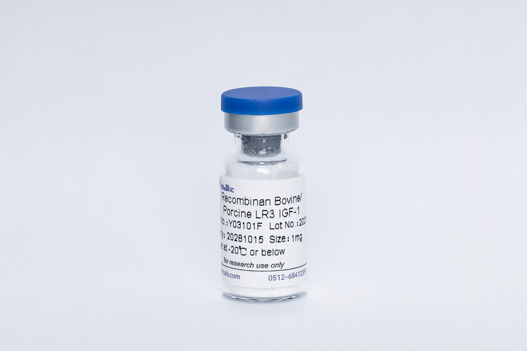 Recombinant Bovine LR3 IGF-1