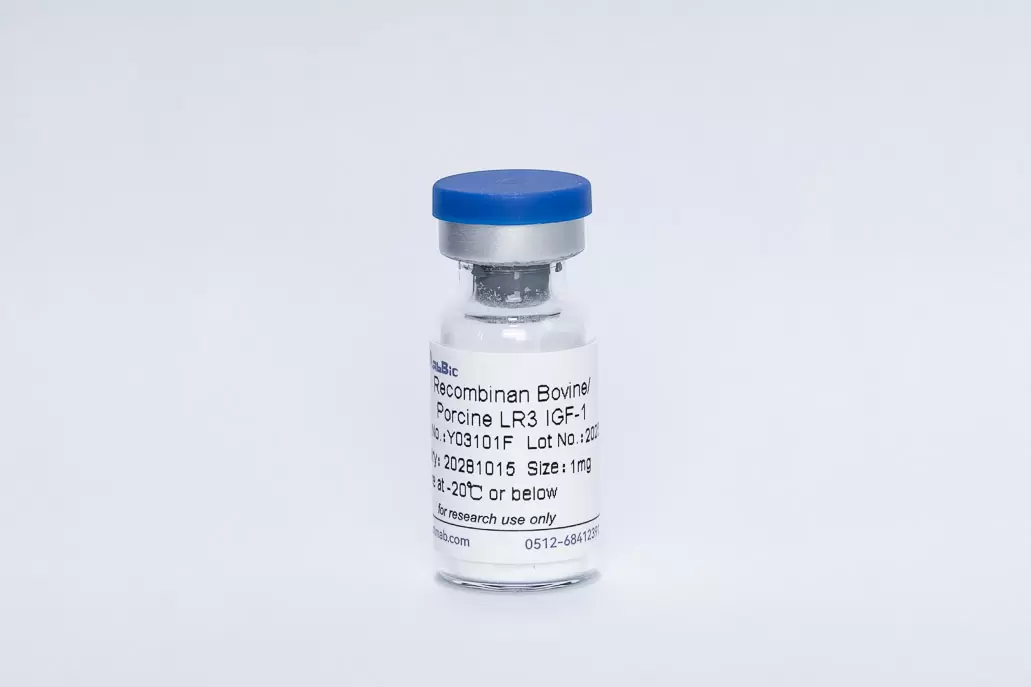 Recombinant Bovine/Porcine LR3 IGF-1