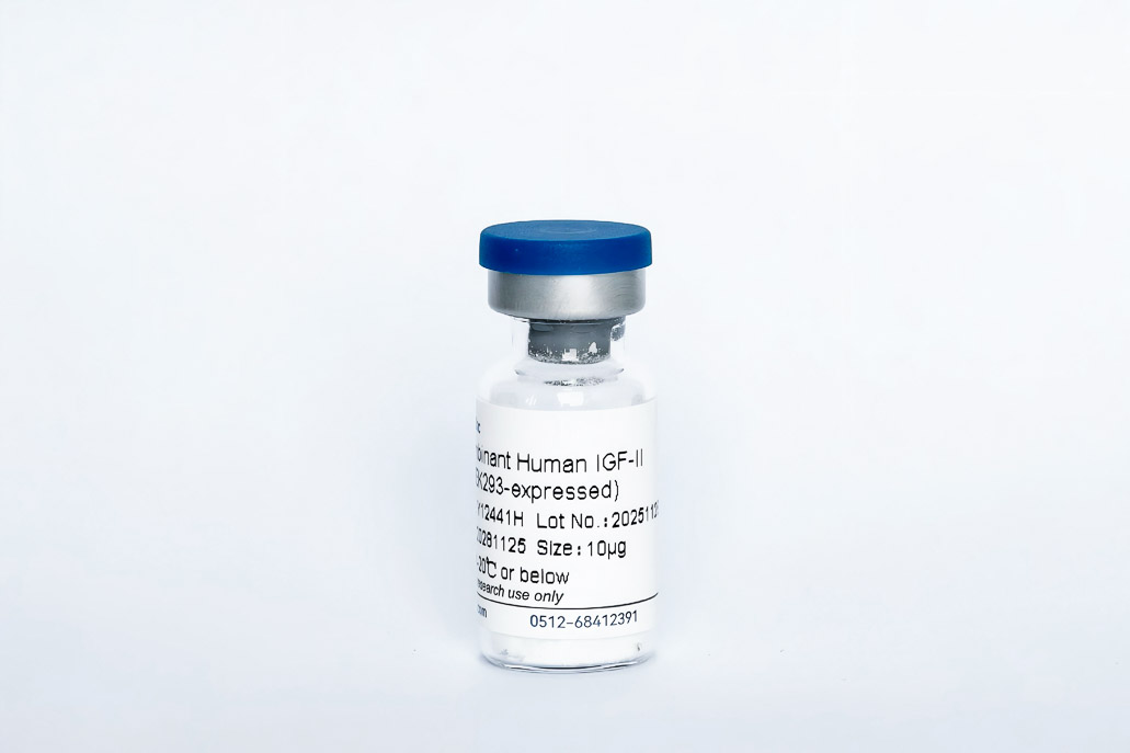 Recombinant Human IGF-2