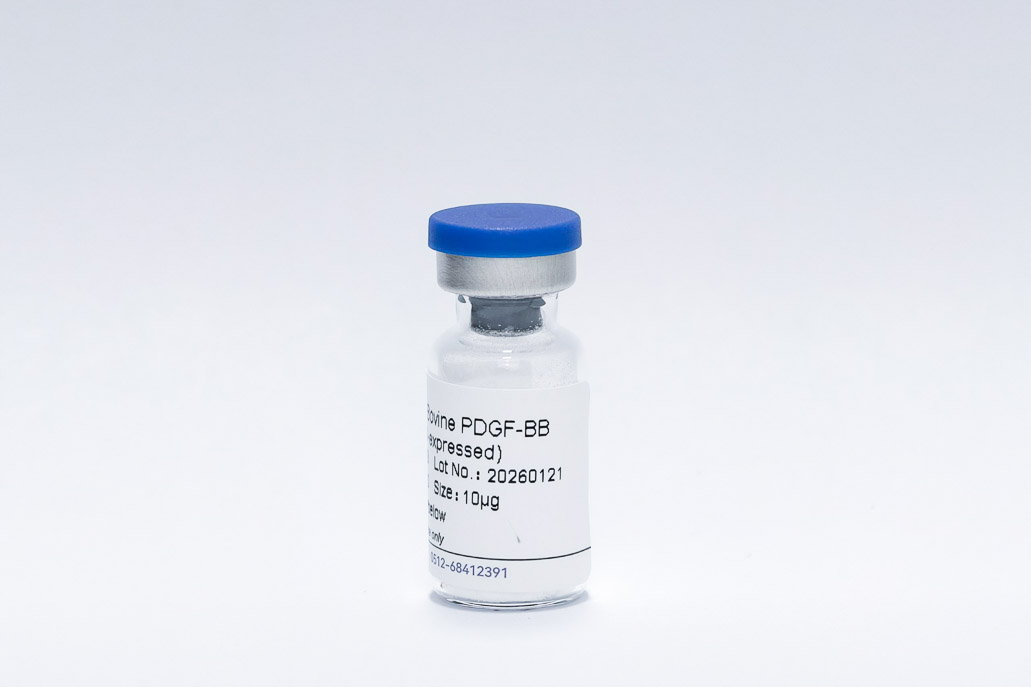 Recombinant Human PDGF-BB