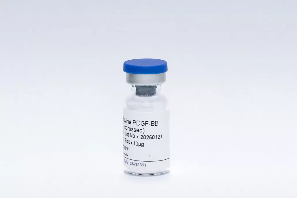 Recombinant Human PDGF-BB