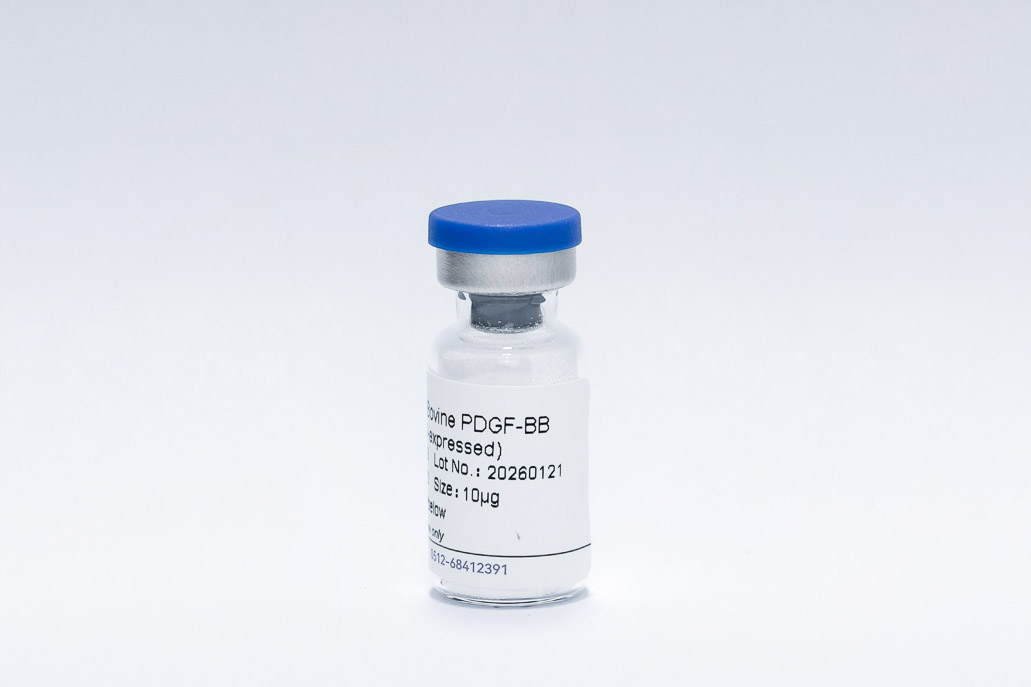 Recombinant Bovine PDGF-BB