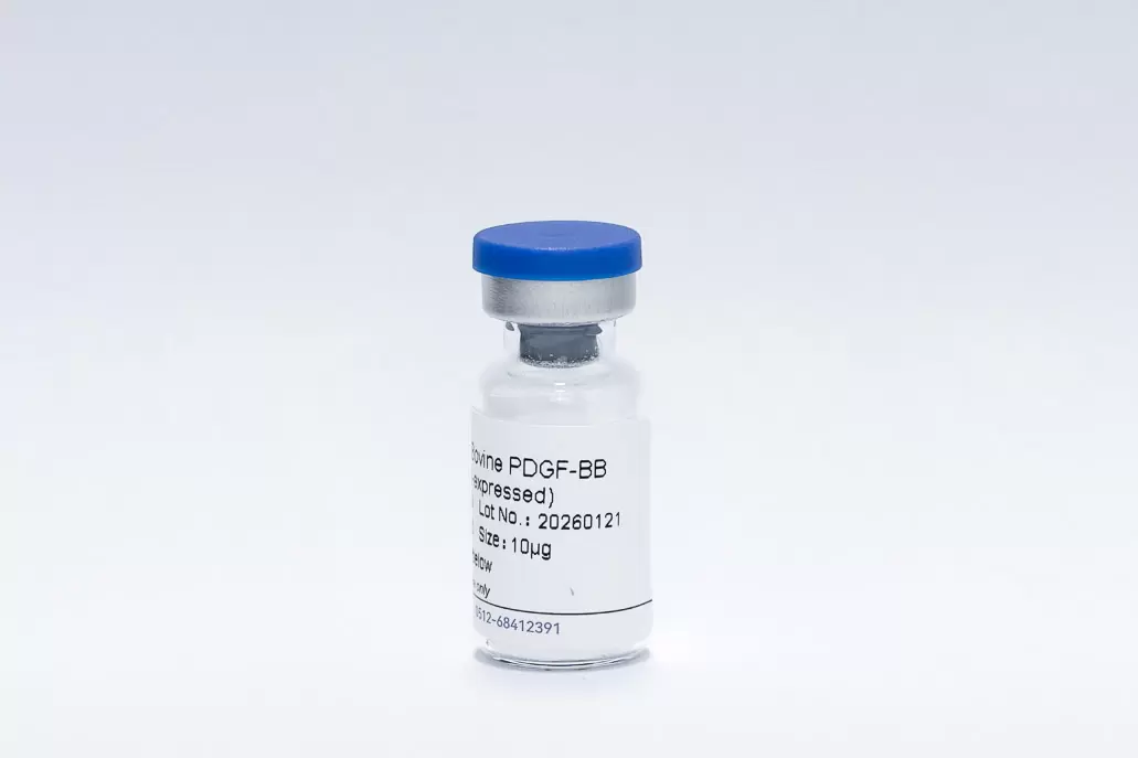Recombinant Bovine PDGF-BB