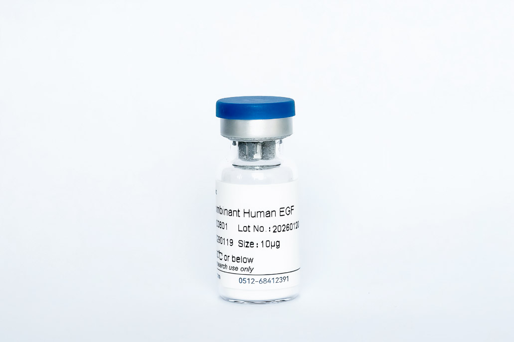 Recombinant Human EGF