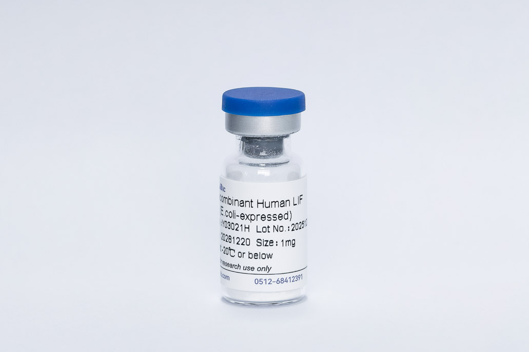Recombinant Human LIF