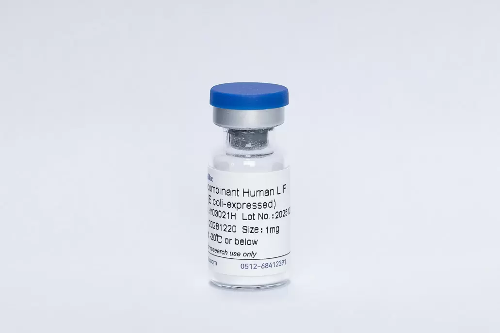 Recombinant Human LIF