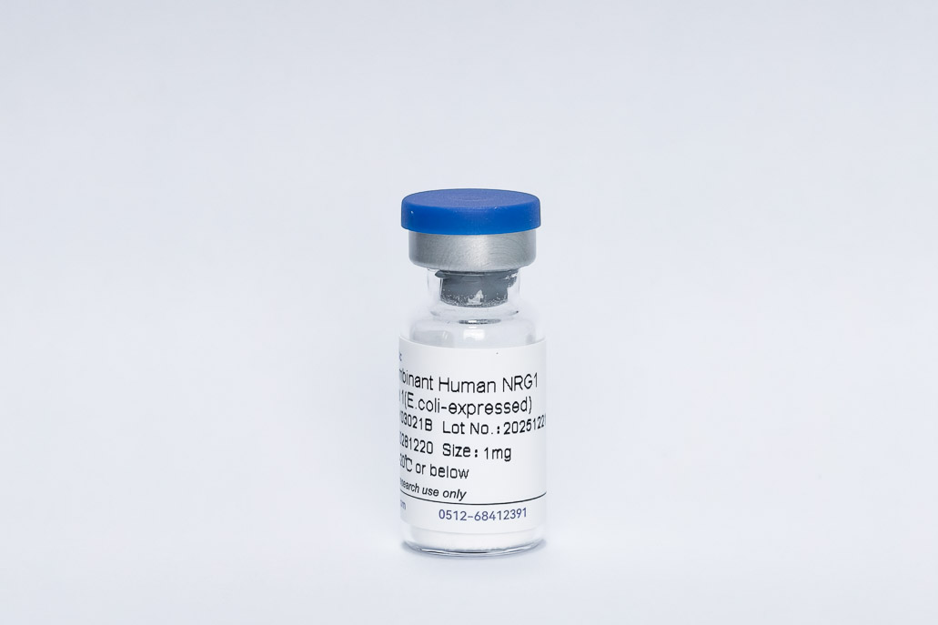 Recombinant Bovine LIF