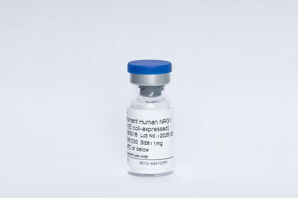 Recombinant Bovine LIF