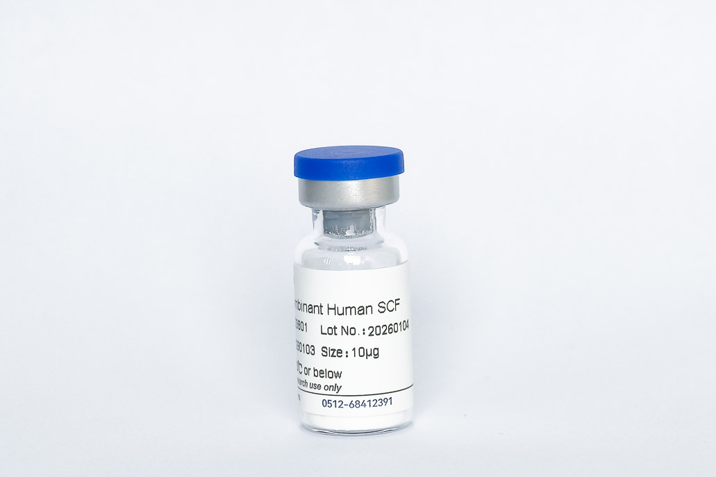 Recombinant Human SCF