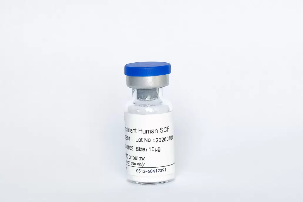 Recombinant Human SCF