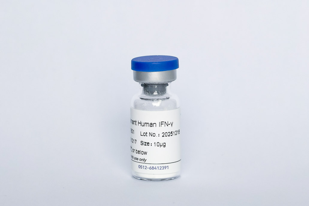 Recombinant Human IFN&gamma;