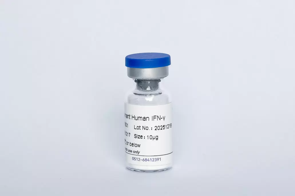 Recombinant Human IFNγ