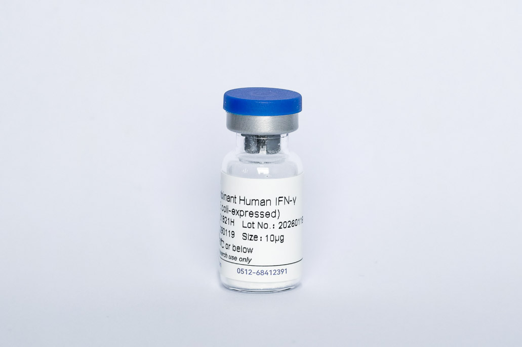 Recombinant Human IFN&gamma;