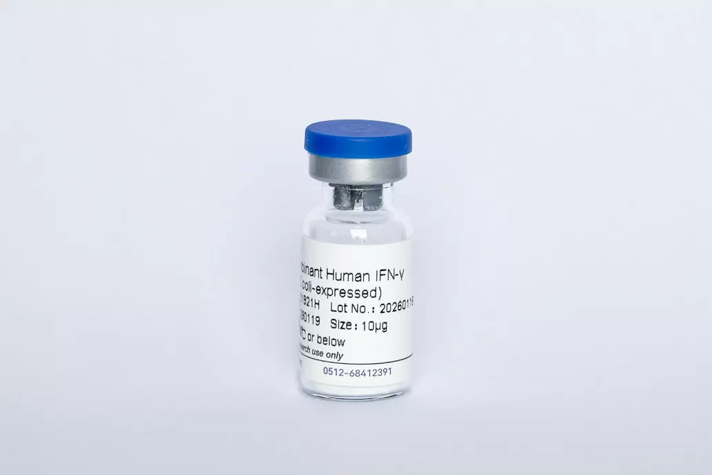 Recombinant Human IFNγ