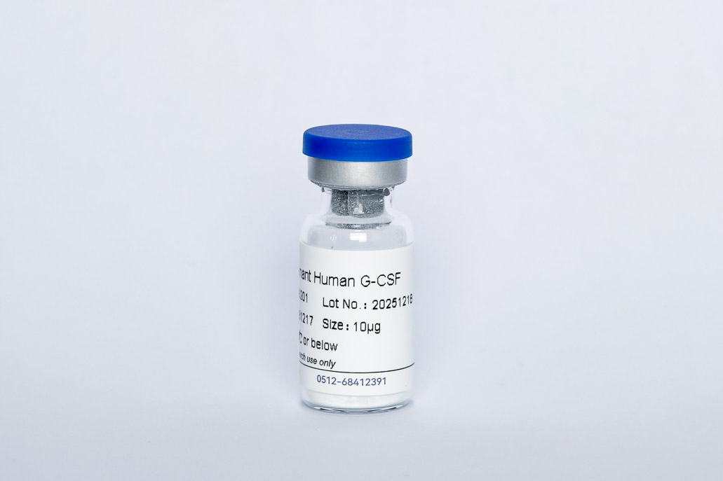 Recombinant Human G-CSF