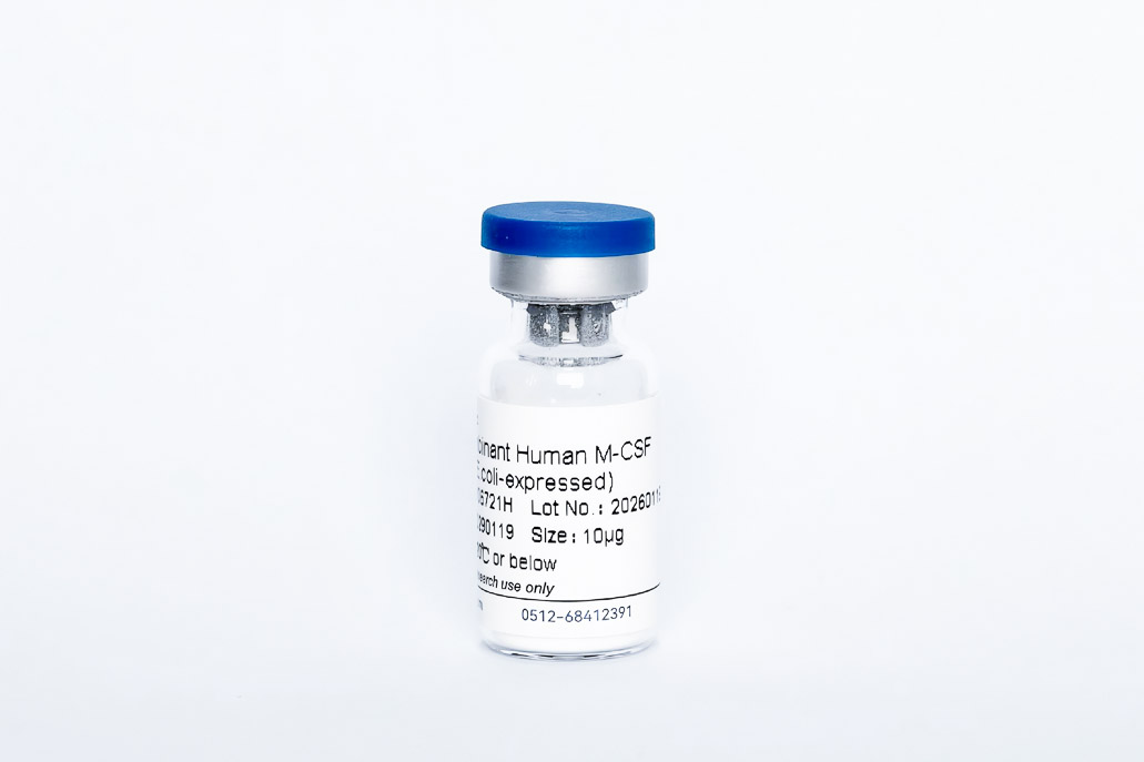 Recombinant Human M-CSF