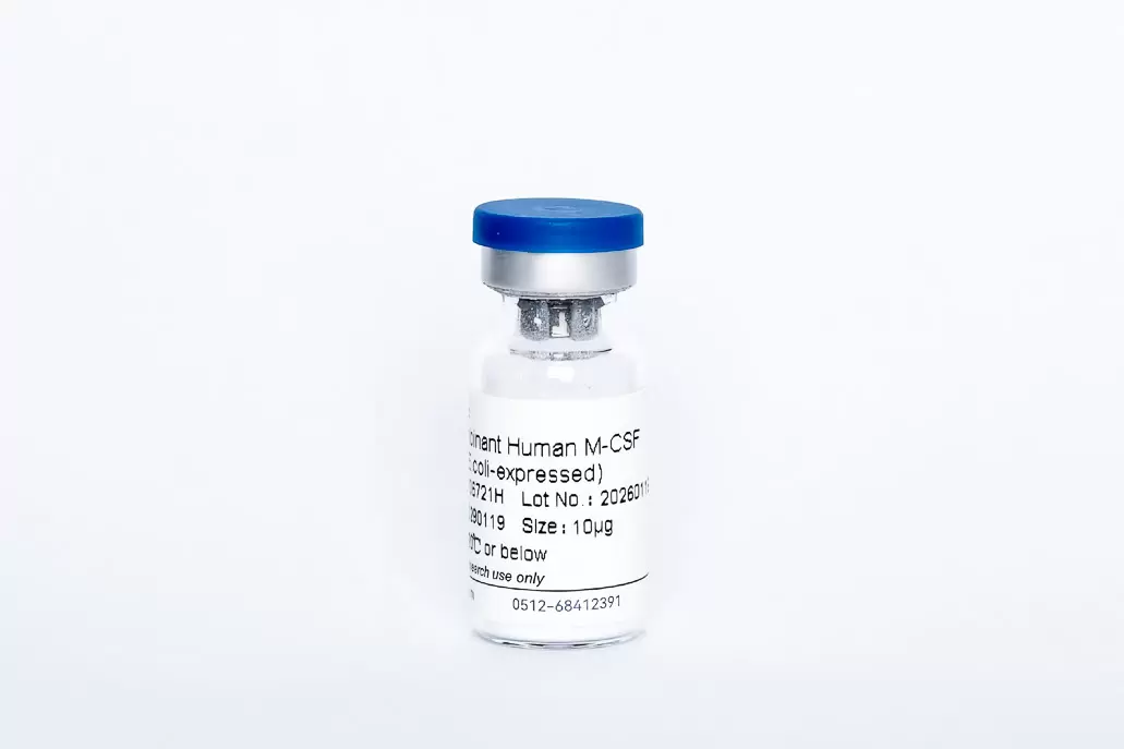 Recombinant Human M-CSF