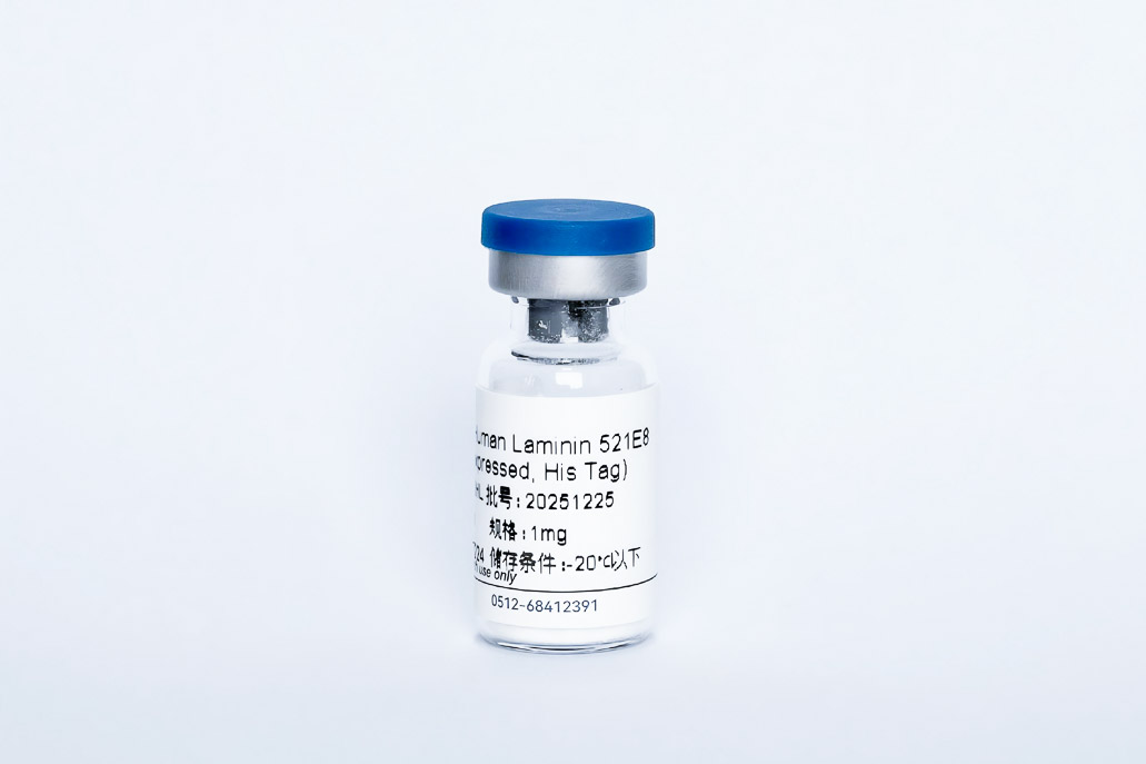 Recombinant Human Laminin521 E8