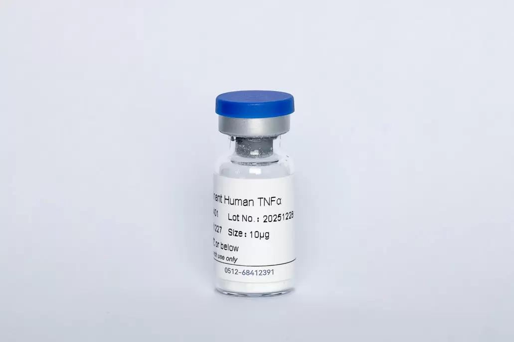 Recombinant Human TNF-α